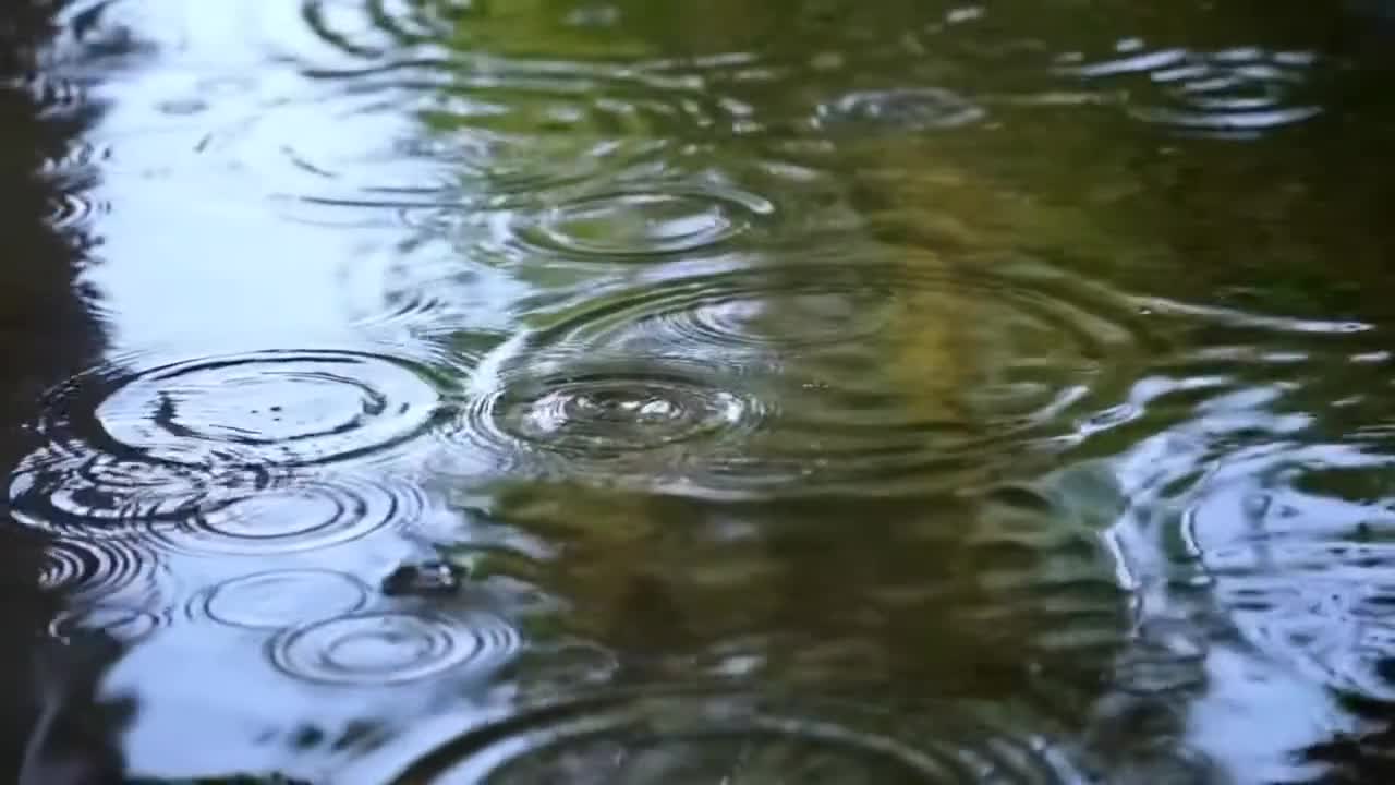 Listening to a rain quietly is also a kind of enjoyment