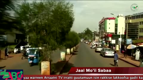 Oduu Waaree ONM-ABO Sadaasa 23-2024 itti dhiyaadhaa!