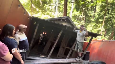 Mystery Spot Illusion Explained