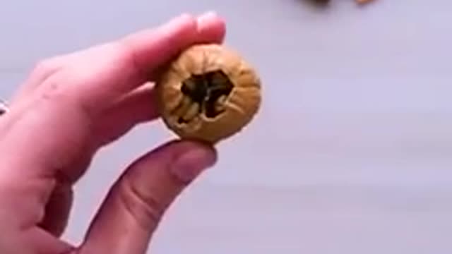 Cette vidéo pourrait vous être très utile !