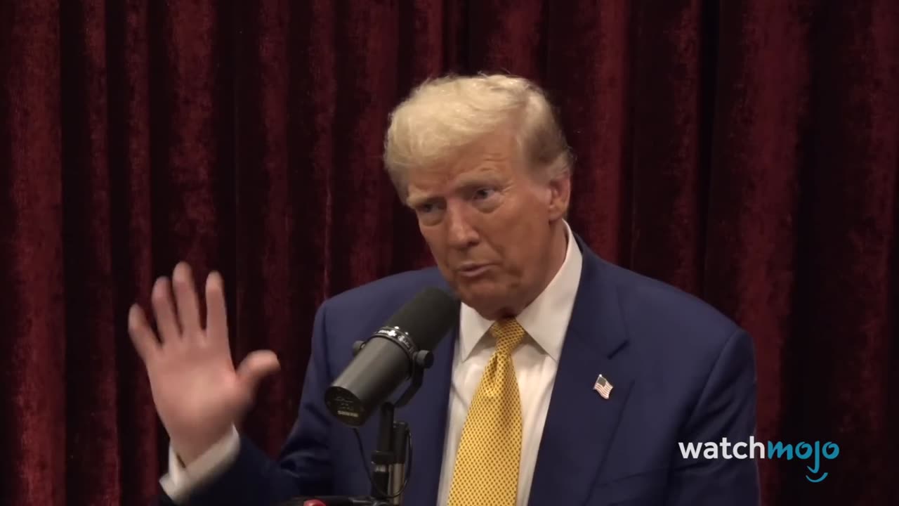 Top 10 Moments from Joe Rogan's Interview With Donald Trump