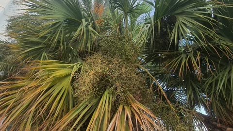 La hermosa naturaleza de Valencia, España