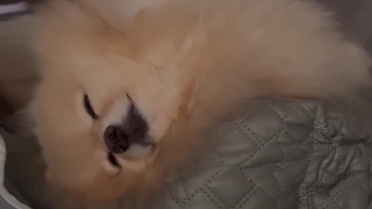 Please do not disturb me