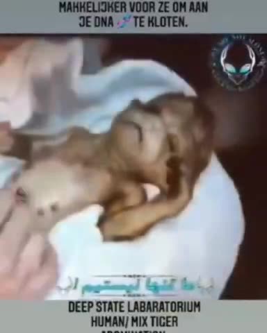 WARNING- DISTURBING!!!!: This is what Laboratories are doing with Human DNA