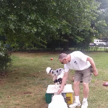 Ruff Cut PodCast: Raised Platform and Balance Beam part 1 section 5