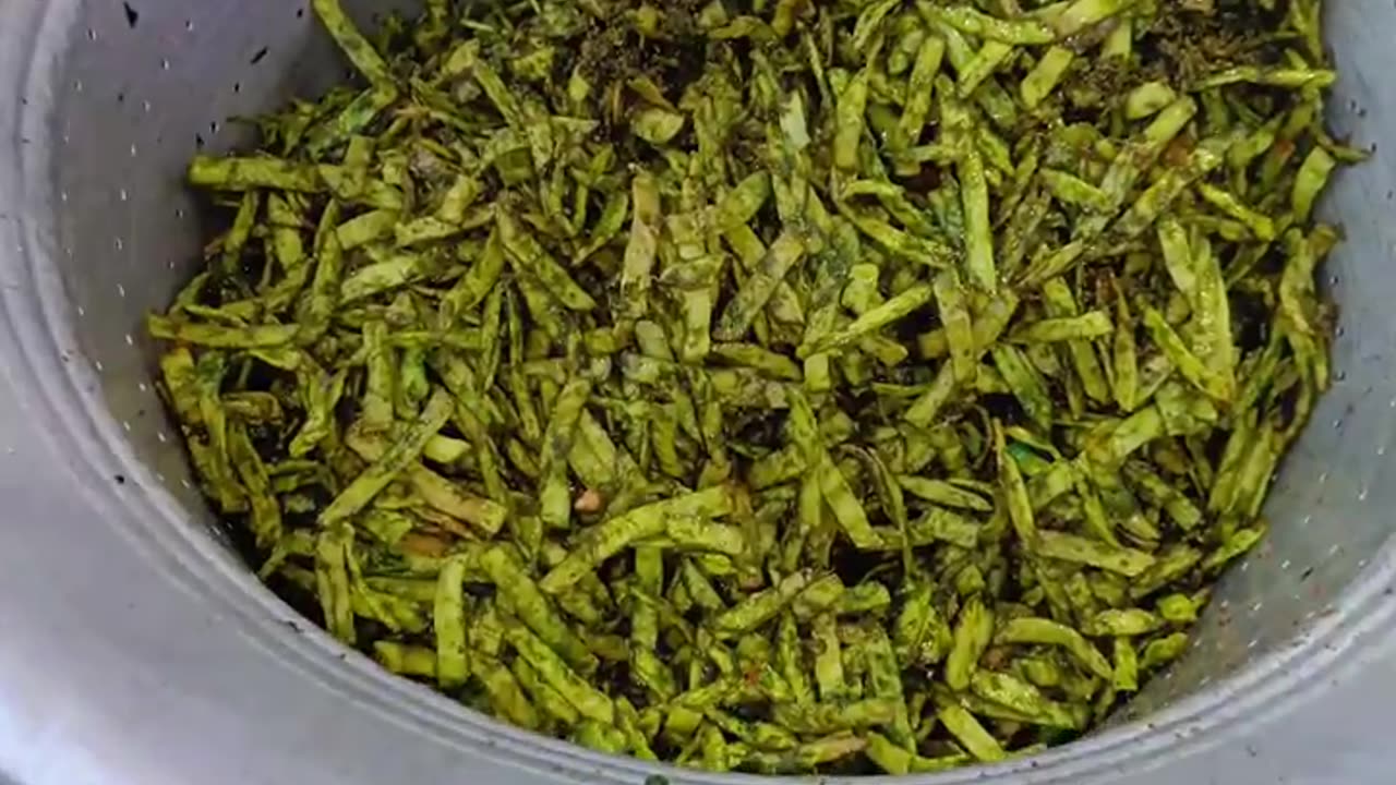 Palak Chips Making Have you tried spinach Chips _ Kuch Aisa Banta hai Palak Chips