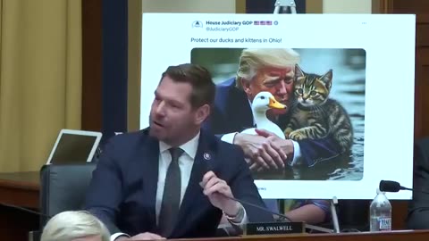 Eric Swalwell goes crazy over cat memes on 𝕏