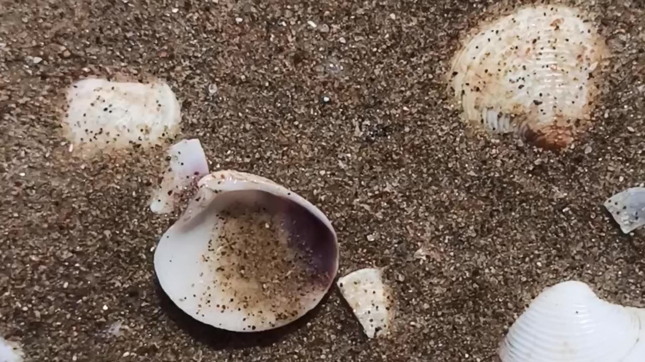 Sea mood