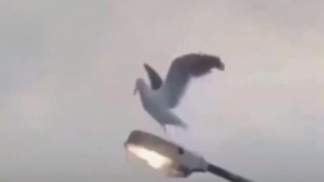 Motivational video that will make you go wow