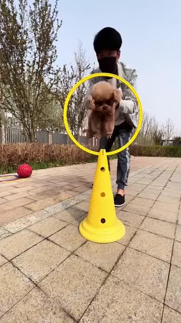 The things this dog can do!!!!