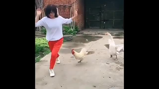 Funniest Animals Attacking People Reaction Animals Attack People Compilation