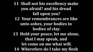 Job 13 King James version
