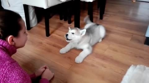 Cute Poppy Talking back to Mommy!