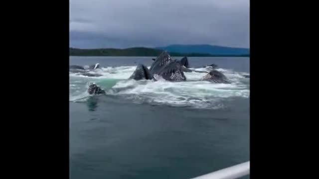 A fishing trip in Alaska