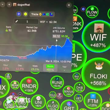 crypto dogwifhat get it now! #fyp #shorts