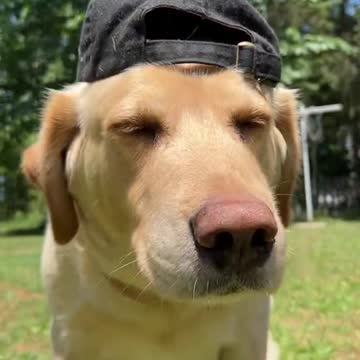 Everyone watch their girls dozer is coming 😂❤️