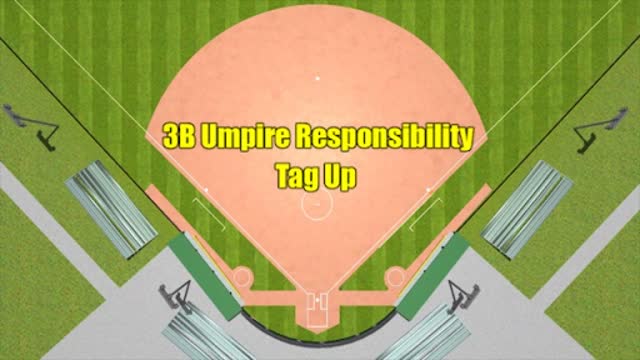 3 Umpires - Runner On 1B & 3B - Flyball To Outfield