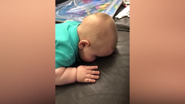 Cutest chubby babies funny baby videos