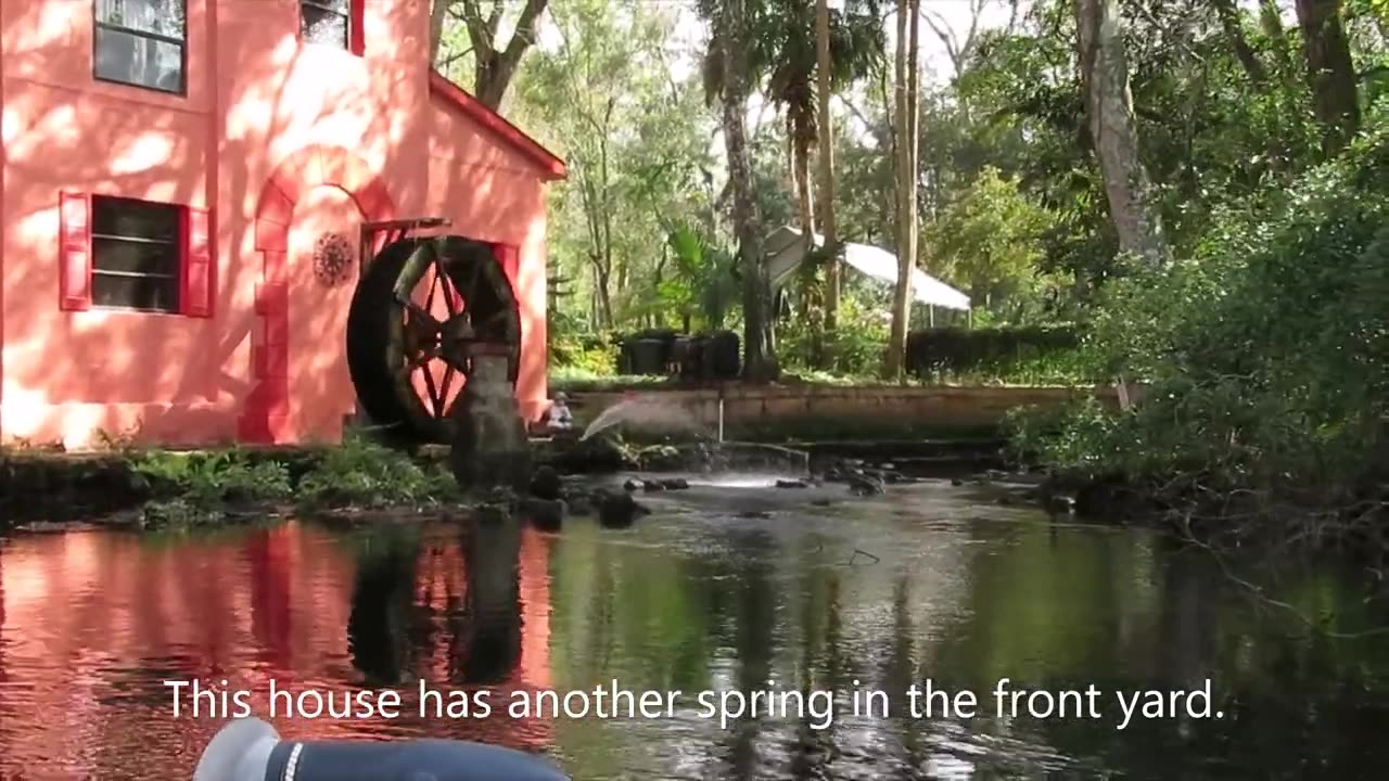 Homosassa Florida Springs, Fish, Birds and a Broken Propeller