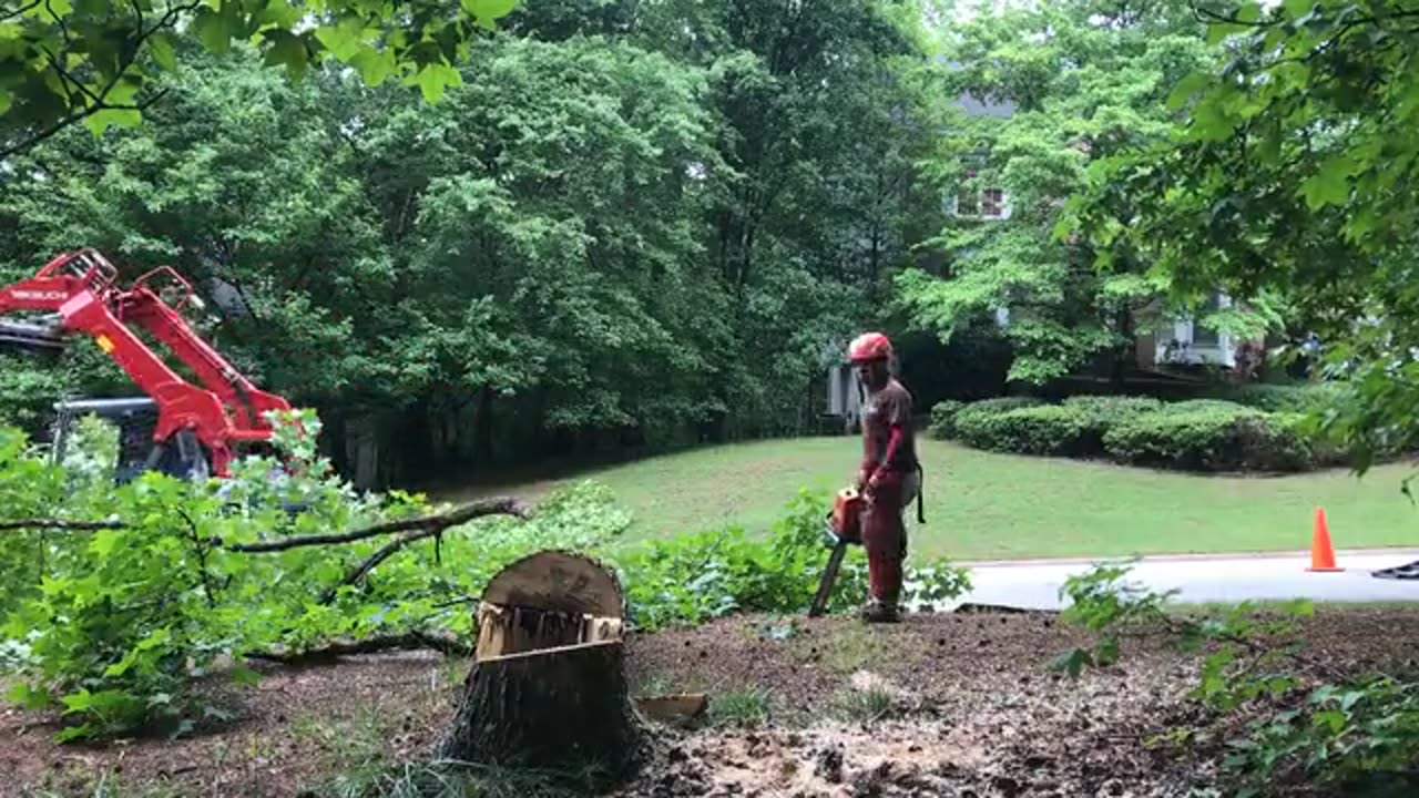 Beautiful green view for refreshment