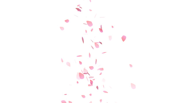 flower particles ver.1