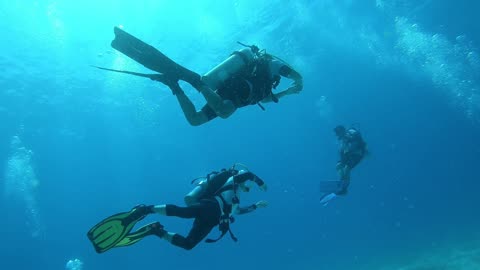 Divers in Atlantis