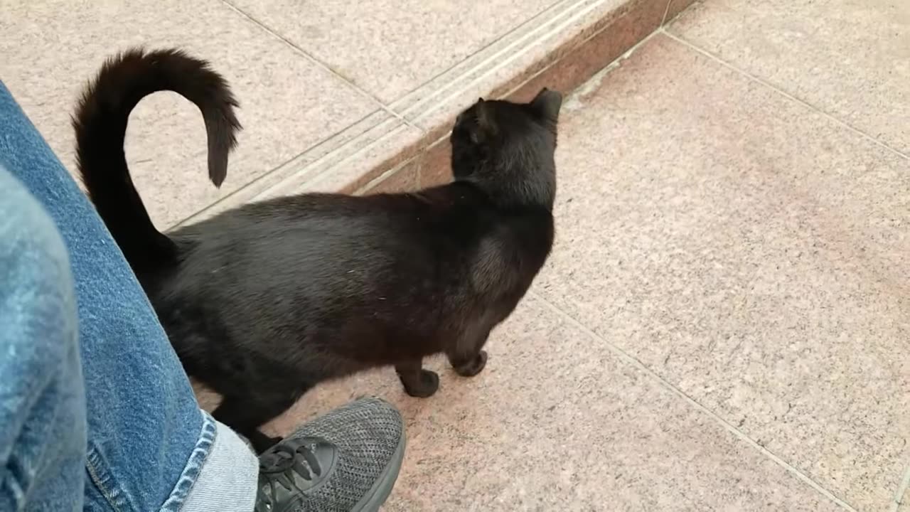 20240423 070350 Tux Molest