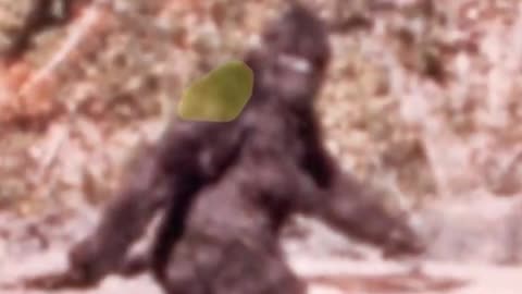 BIGFOOT POT FARMER MURDERS