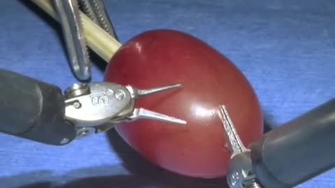 Surgery on a Grape? Precision with da Vinci System!