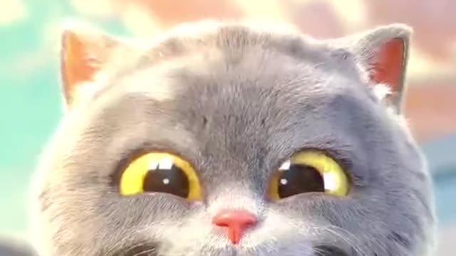 Cute tiktok fun by cat new amazing video