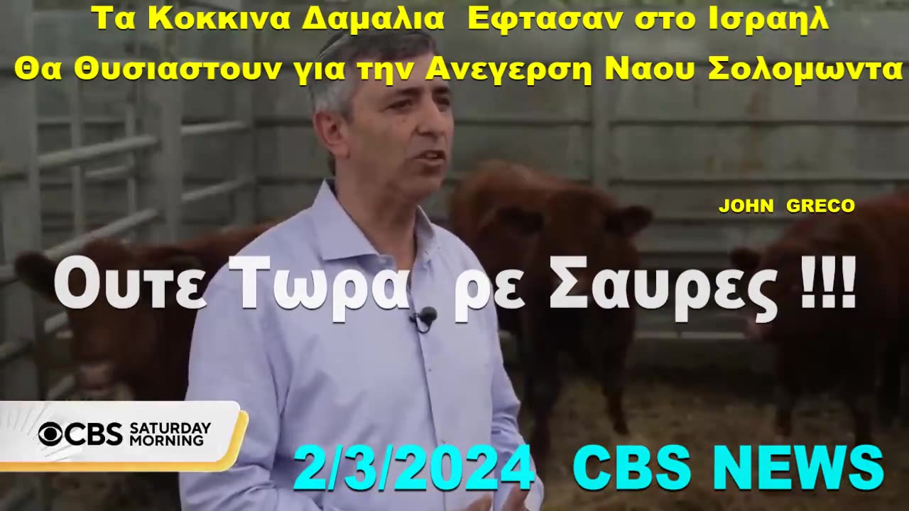 👉ΕΦΕΡΑΝ και τα #ΚΟΚΚΙΝΑ ΔΑΜΑΛΙΑ, 👉για #ΘΥΣΙΑ, και #ΑΝΕΓΕΡΣΗ του #ΝΑΟΥ τους👹
