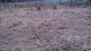 Crum Henge