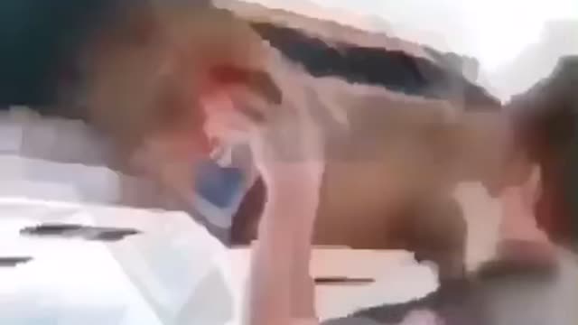 This here is funny !