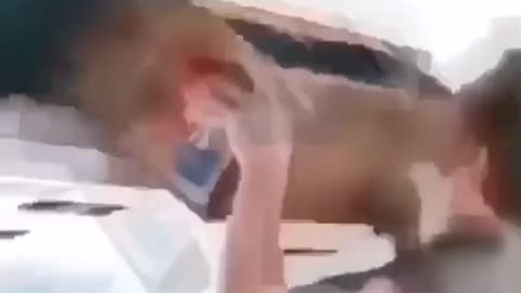 This here is funny !