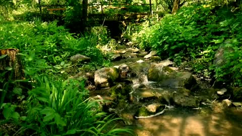 Relaxing Music | Sleeping, Meditation, Stress Relief | [1546] ⭐️