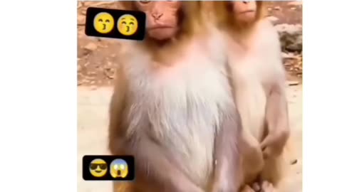 King 👑 🙏राम