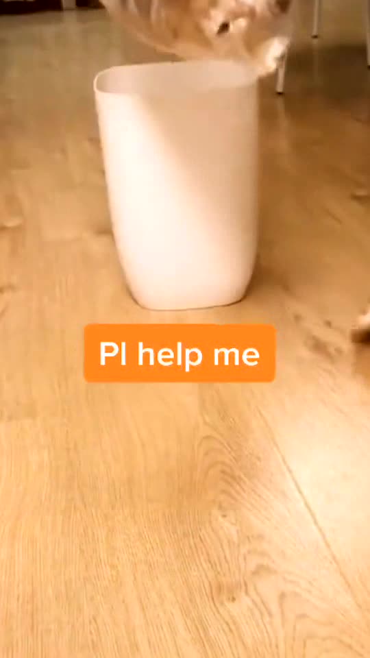 I got caught.Don’t throw me away.plz 🥺🥺🥺