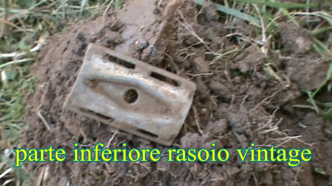 Metal detector in giardino