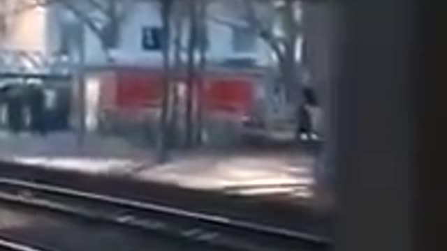 MORE OF GERMANY BEING TERRORIZED BY HORDES OF ILLEGAL ALIENS
