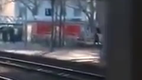 MORE OF GERMANY BEING TERRORIZED BY HORDES OF ILLEGAL ALIENS
