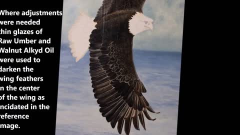 How to Paint a Flying Eagle in Oils or Acrylic