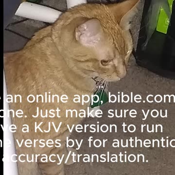 Tips to Help Encourage Reading the Bible