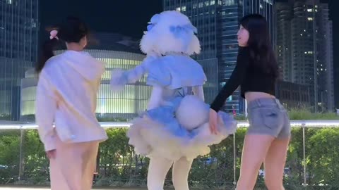 Dimensional Sheep Cub #8