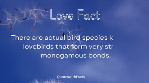 Love quotes and facts