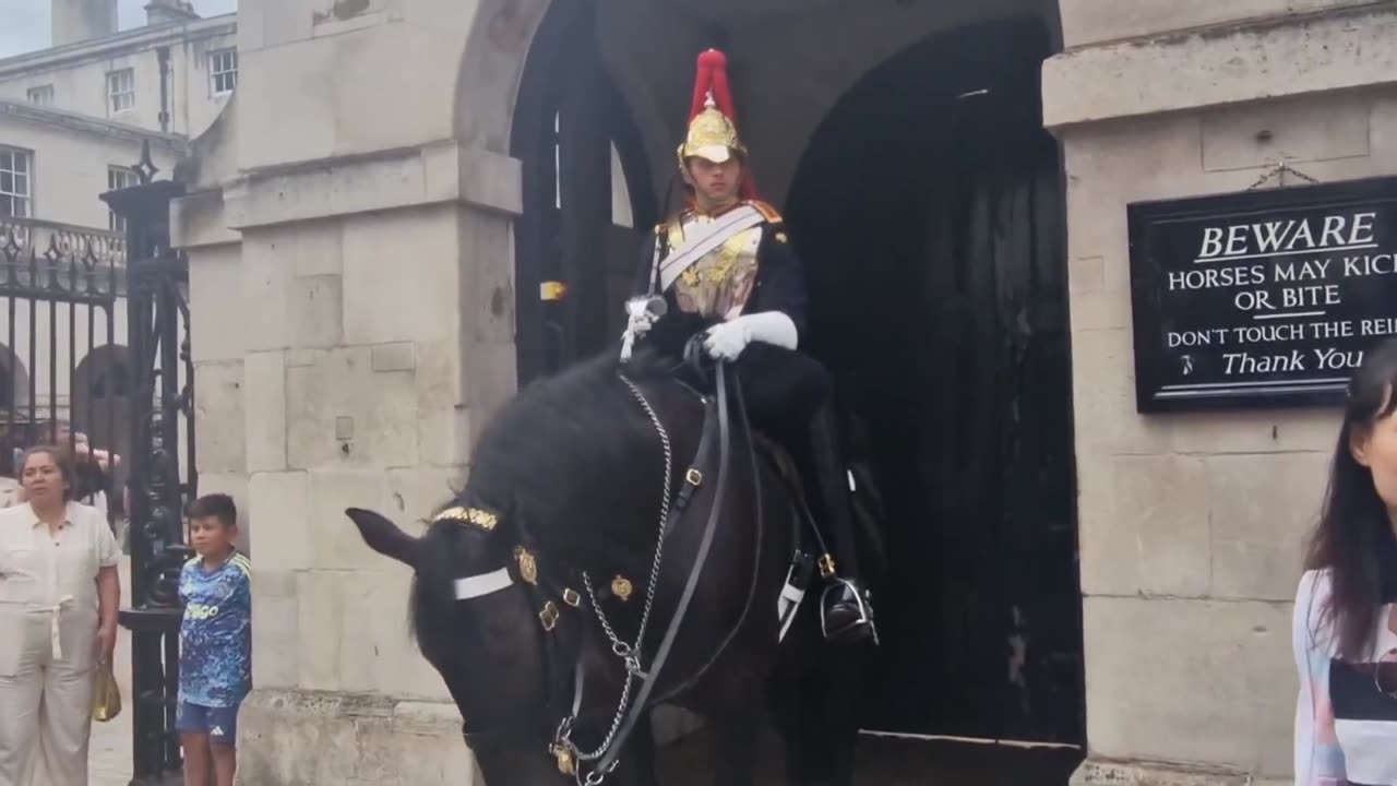 Tourist FAINTS after being bitten by a Kings Guard’s Horse after she attempted to pose for a photo.