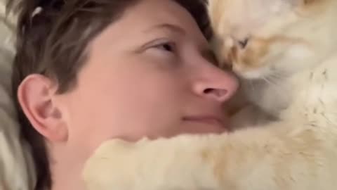 Cats love