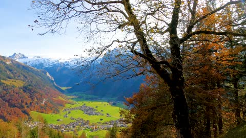 Sunny Alpine Valley