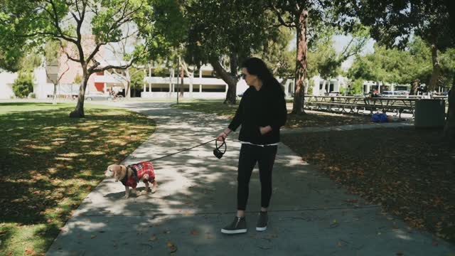 Dog Trainer Bible.