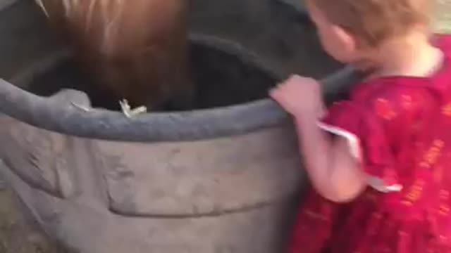 Toddler Gives Kisses To Horses
