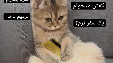 خرج کردن خانوما 😂